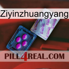 Ziyinzhuangyang 37